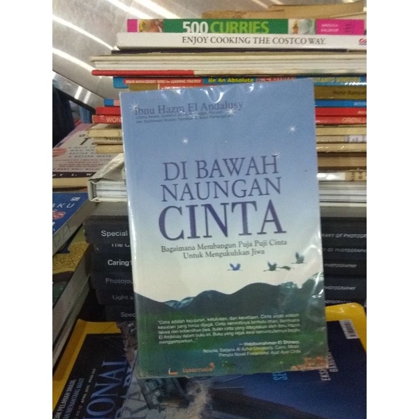 NOVEL DIBAWAH NAUNGAN CINTA BEKAS