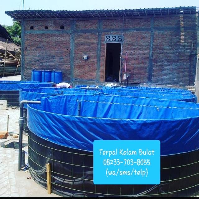 Terpal kolam bulat D4 T1,2 NETT PVC Orchid Semikaret murah