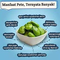 

DEB Pete segar isi 6 papan