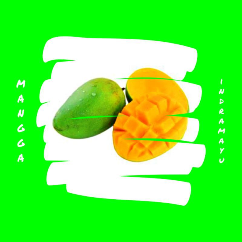 

mangga indramayu segar super