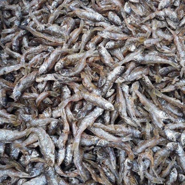 

Ikan bilih danau singkarak