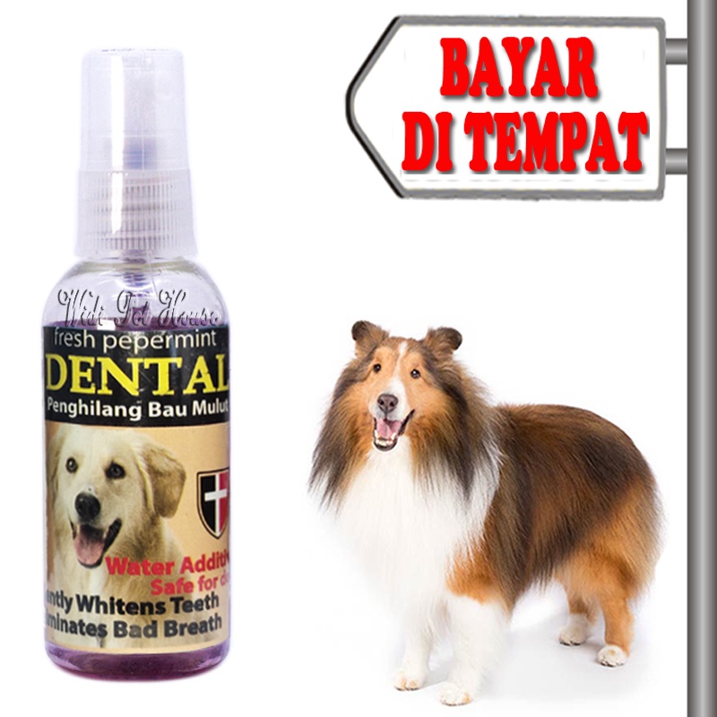 Obat Bau Mulut Sariawan Anjing Semprot Dental