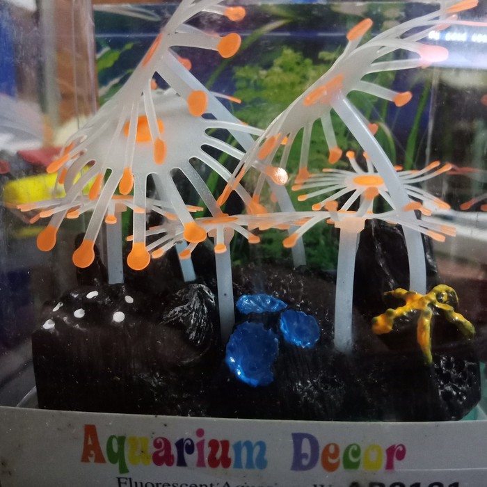 Hiasan Aquarium tanaman silicon / ornament aquarium silicon import