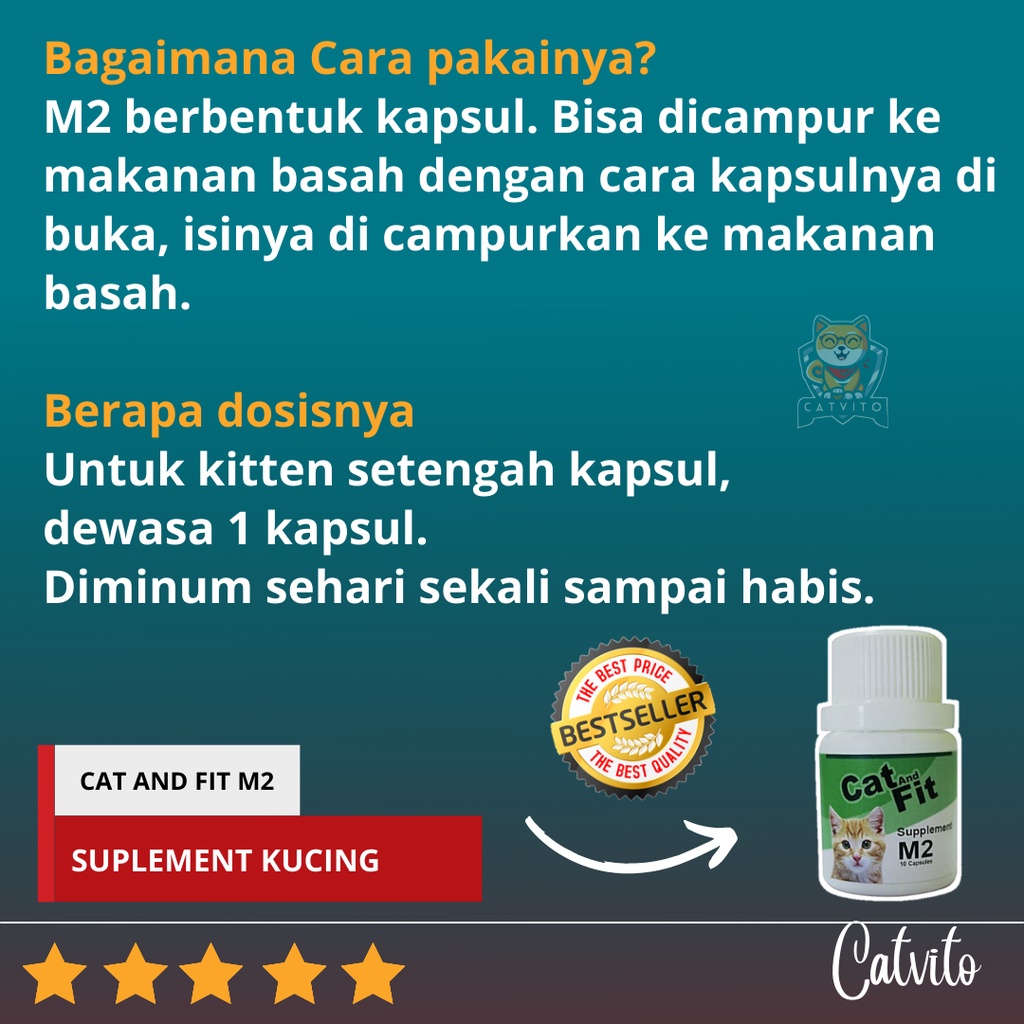 VITAMIN STAMINA KUCING CAT AND FIT M2 UNTUK KUCING HAMIL PASCA SAKIT OPERASI DAN MELAHIRKAN