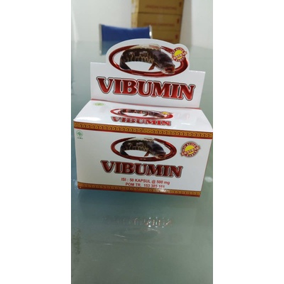 Vibumin (kapsul ikan gabus)