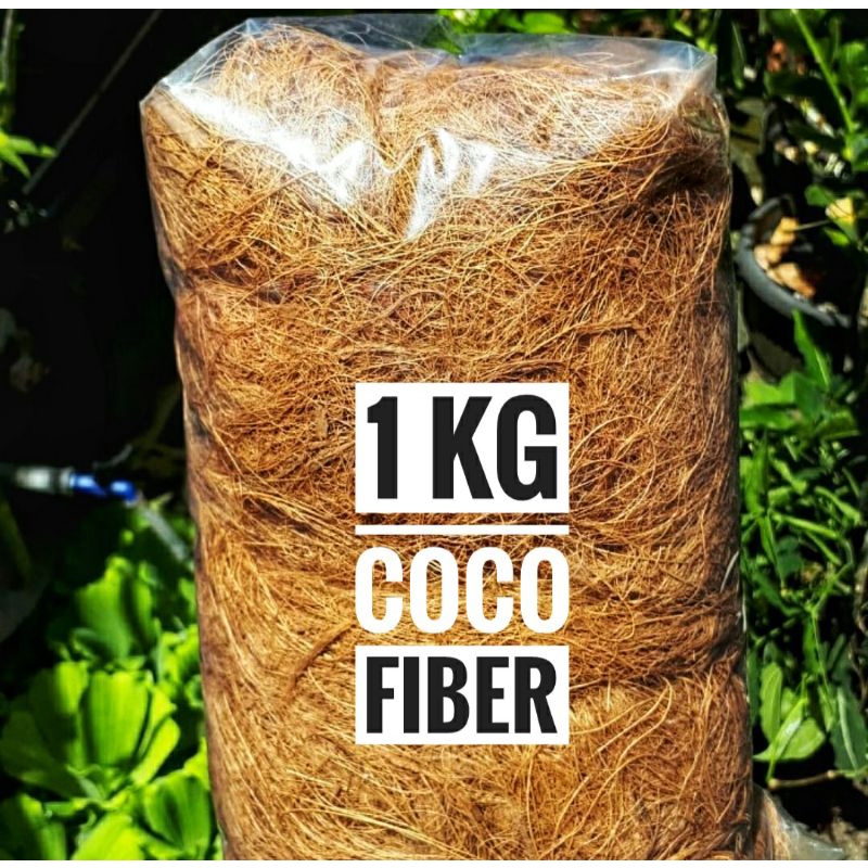 Jual Coco Fiber Sabut Serabut Serat Kelapa Kasar Cocofiber Ijuk Kelapa Penutup Tanaman Hias