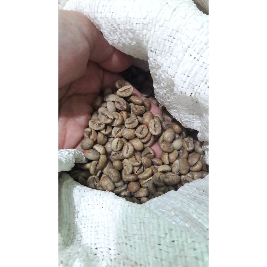 

Distributor Biji Kopi Murah | Jual Biji Kopi