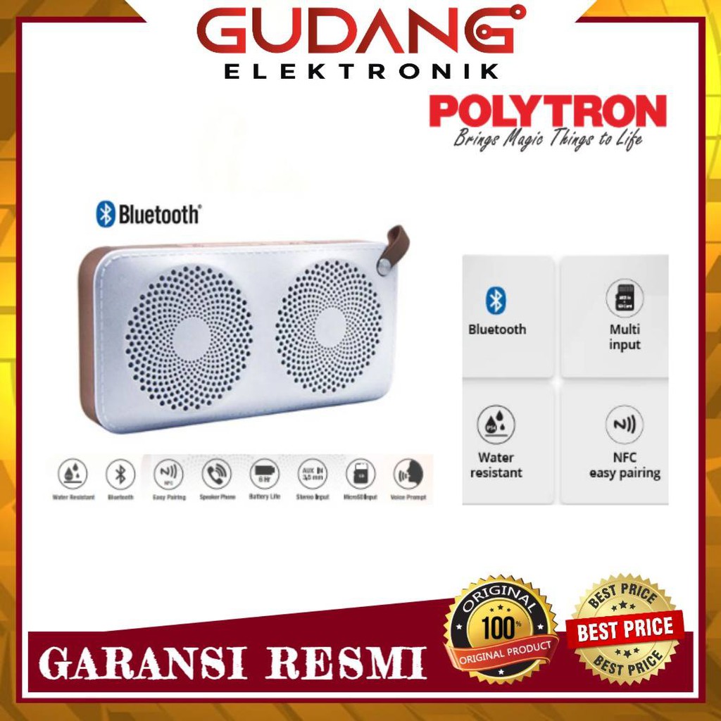 Polytron MUZE PSP B2