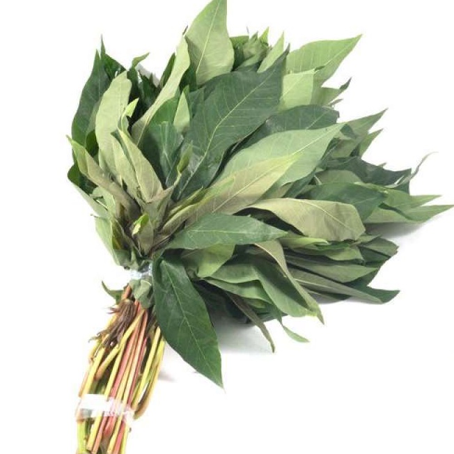 

Daun singkong 1 ikat