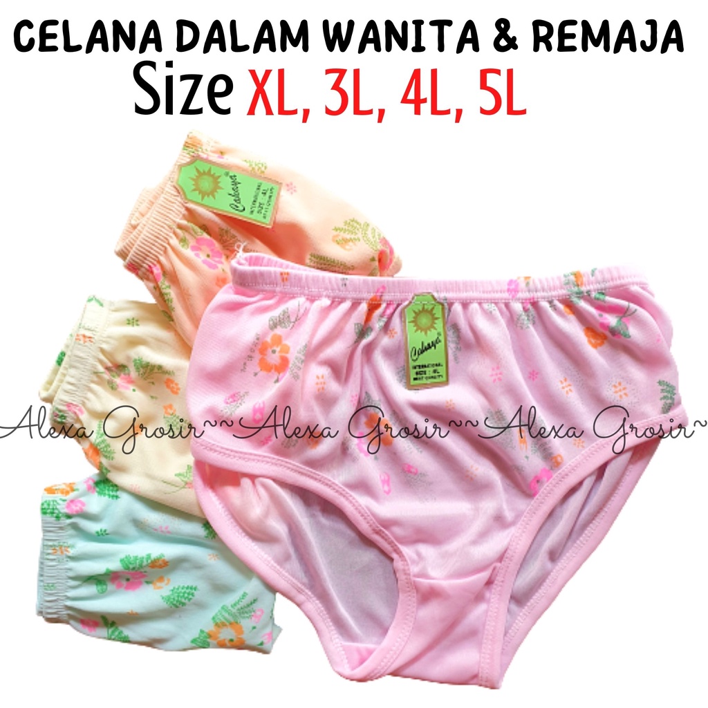 Undies Celana Dalam Wanita Murah Ukuran 5L Hyget