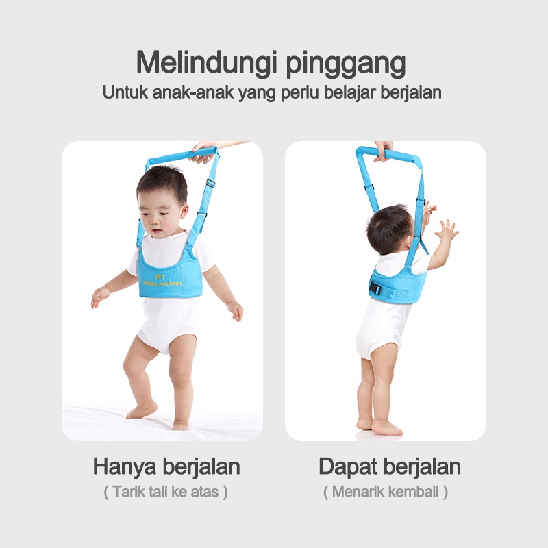 Baby Walking Assistant/Ikat pinggang bayi balita/Sabuk Pengaman Alat Bantu Jalan Bayi L211