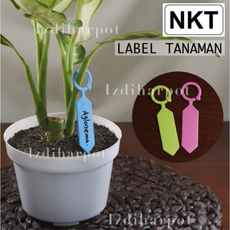 label tag tanaman nkt warna warni name tag bahan tebal - satuan