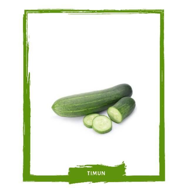 

Timun Lokal / Sayur Sayuran Segar By Mallahrizwa