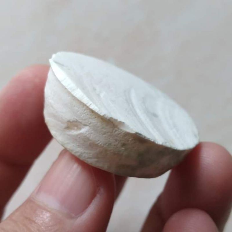 Benda Antik Kuno Tua Putih Tebal Tembus Cahaya Langka Temuan Galian Jatim - B