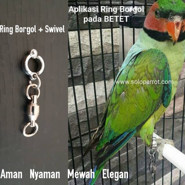 Ring Kaki Buat Kait Rantai Burung Parrot Plus Swivel Shopee