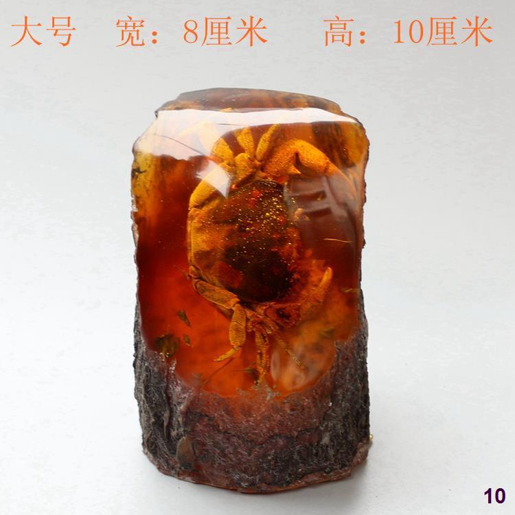 Kepiting Buatan Amber Spesimen Resin Kerajinan Nyata Serangga Serangga Hewan Baku Batu Fosil Simulas