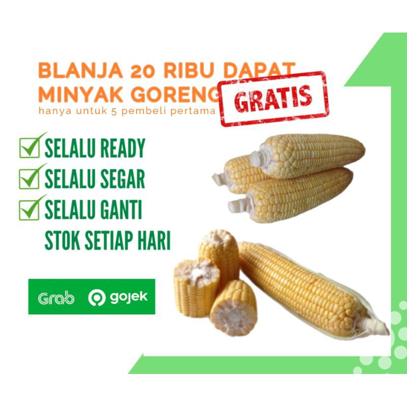 

JAGUNG MANIS JAGUNG MADU FRESH