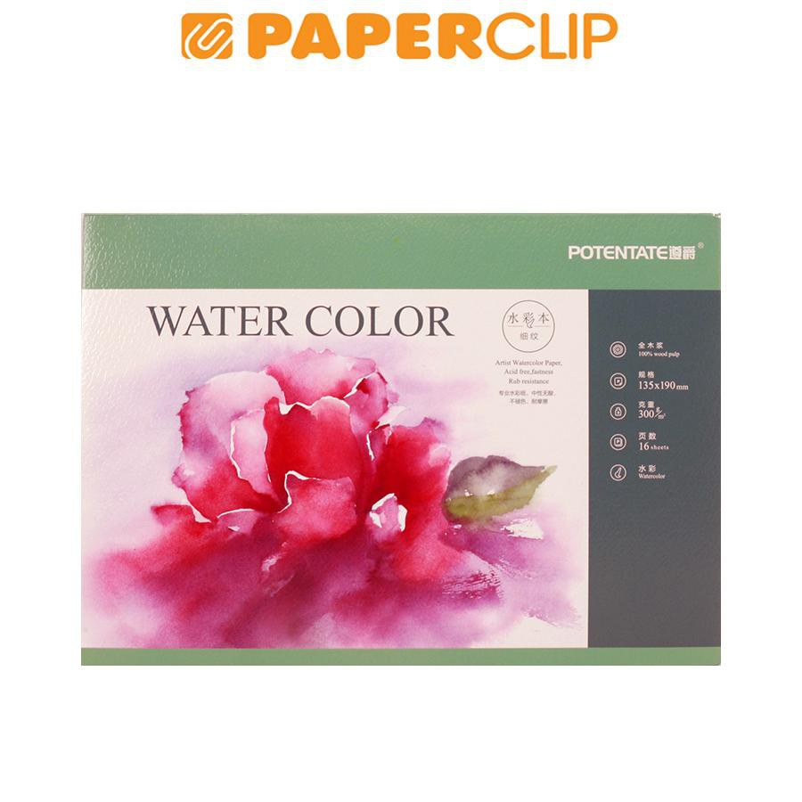 

POTENTATE WATER COLOUR SMOOTH 13 020745