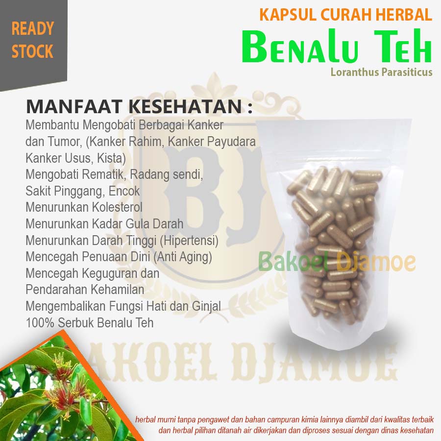 

Kapsul curah herbal benalu teh kapsul herbal kanker rematik radang kolesterol cod