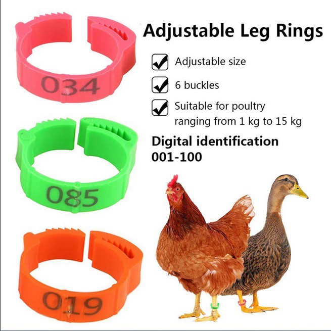 Gelang Kaki Ayam Bebek Ring Kaki Ayam Bebek Clip Penanda Numbered Adjustable Size Shopee Indonesia