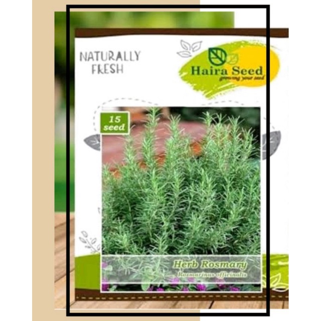 Benih Herb Rosemary Pouch (Haira Seed)