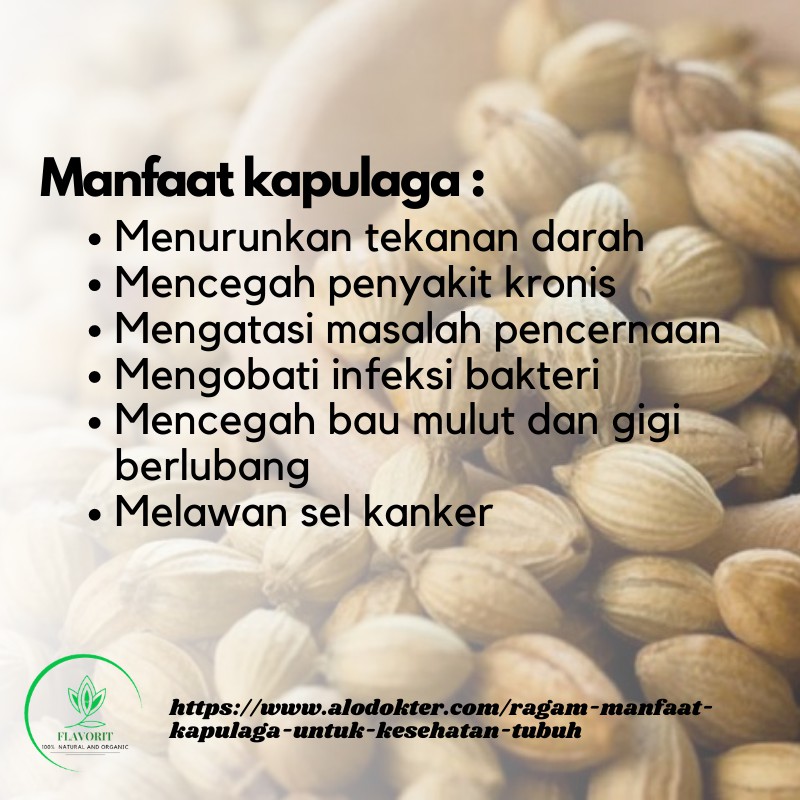 Kapulaga Bubuk Cardamom Powder Bumbu Dapur Serbuk Penyedap Rasa Rempah Kering Organik Herbal Murni