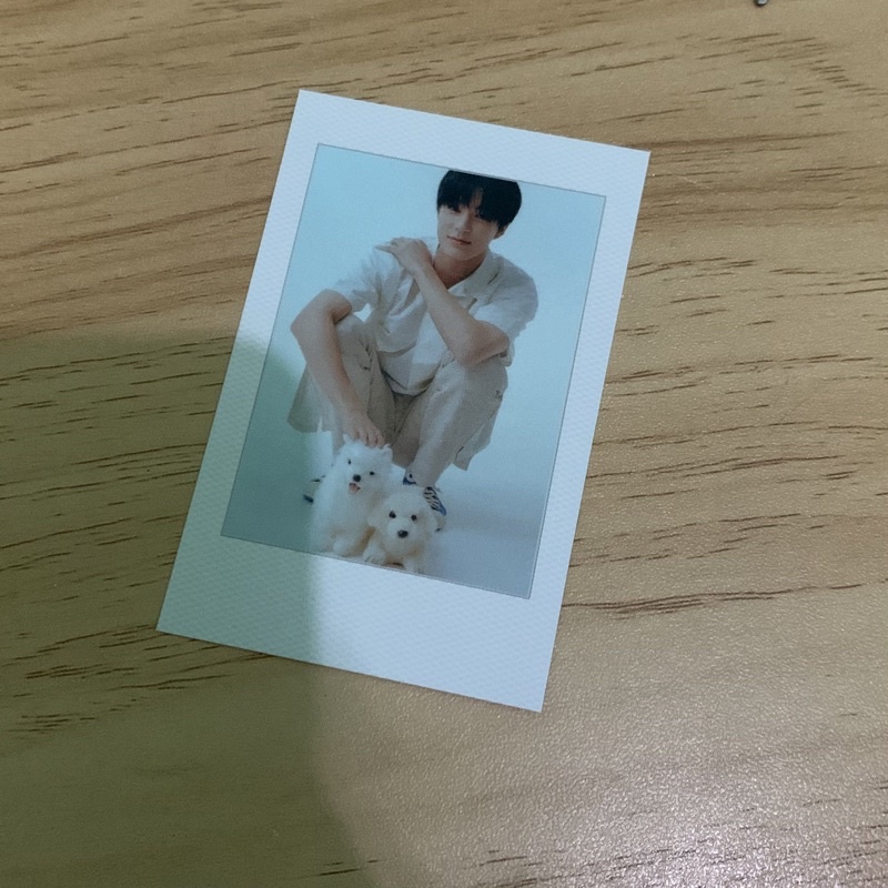 Polaroid Benefit SG22 Music Drama Jeno (Pola Bene Season Greeting 2022)