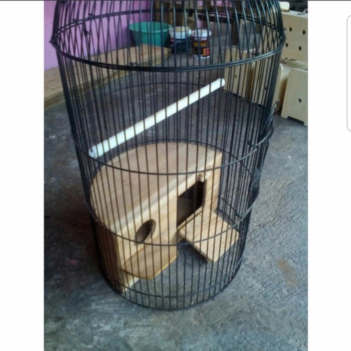 Yrt0Jikk Glodok Lovebird Setengah Lingkaran Buat Kandang Kapsul Kki0375