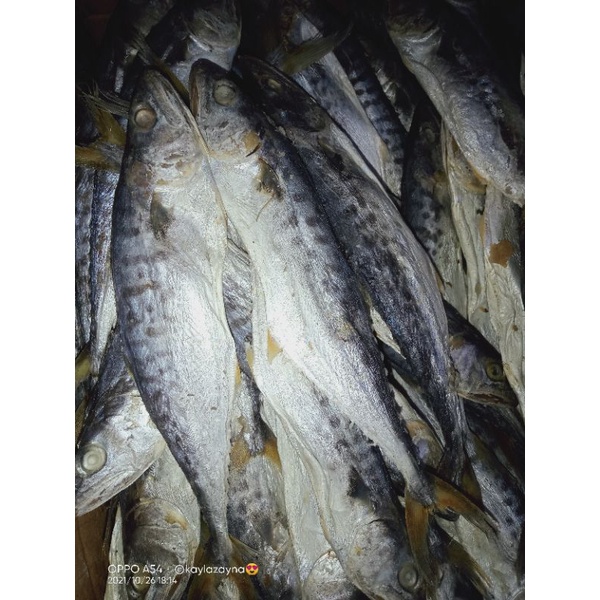 

ikan asin tenggiri