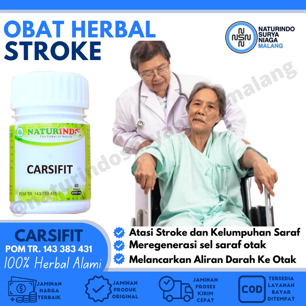 Jual Obat Stroke Ringan Obat Stroke Ampuh Herbal Stroke Obat Struk Obat