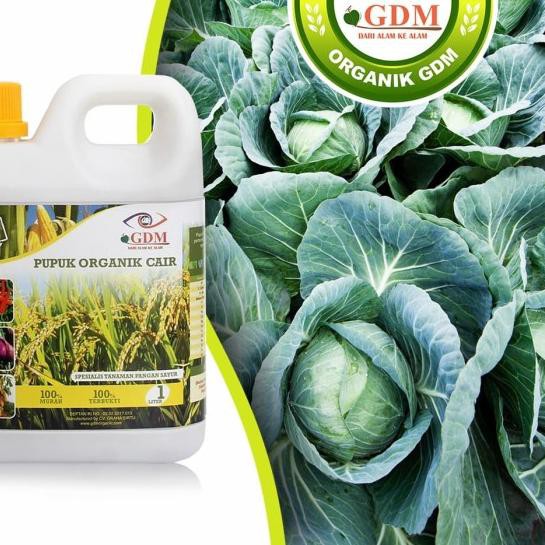 ➤ GDM Pupuk Organik Cair untuk Tanaman Pangan Sayur ♣