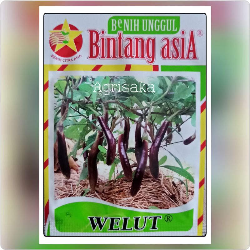 10 Gram I Benih Terong Panjang Ungu WELUT I Bintang asiA