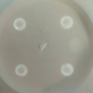  Pot  Bunga  Tanaman SHALLOM  ukuran diameter 20 cm putih  