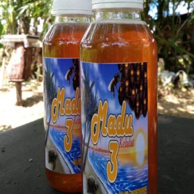 

Madu kelulut