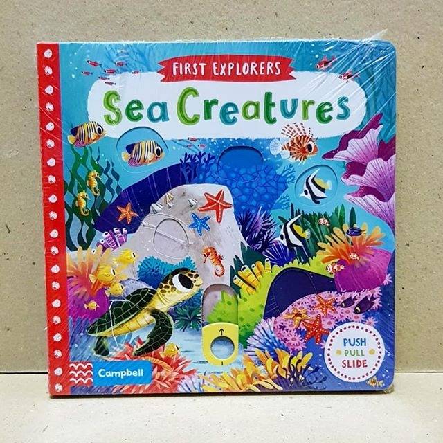 First Explorers Sea Creatures by Campbell