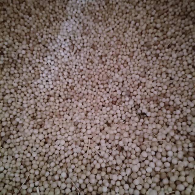 

Biji Ketumbar Singkawang 500 gram