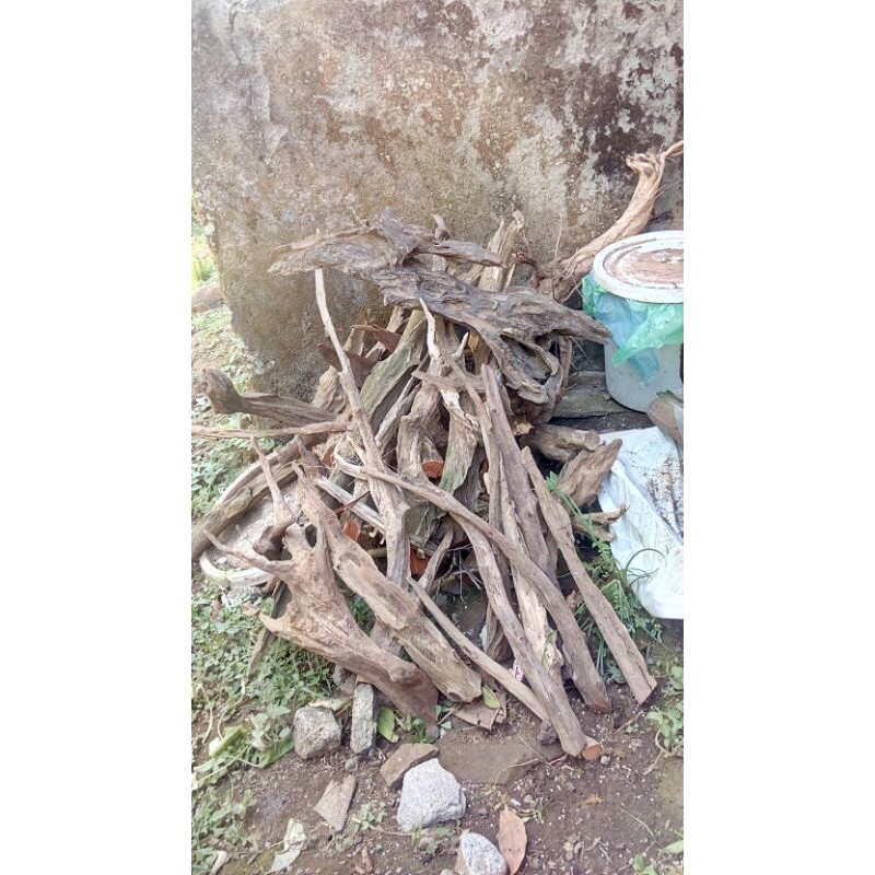 kayu aquascape