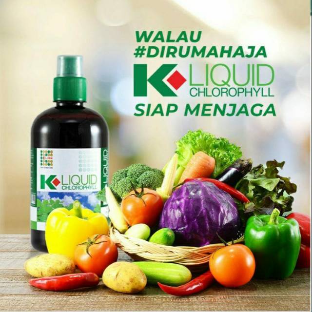 

LIQUID KLOROPHYLL MINUMAN KESEHATAN