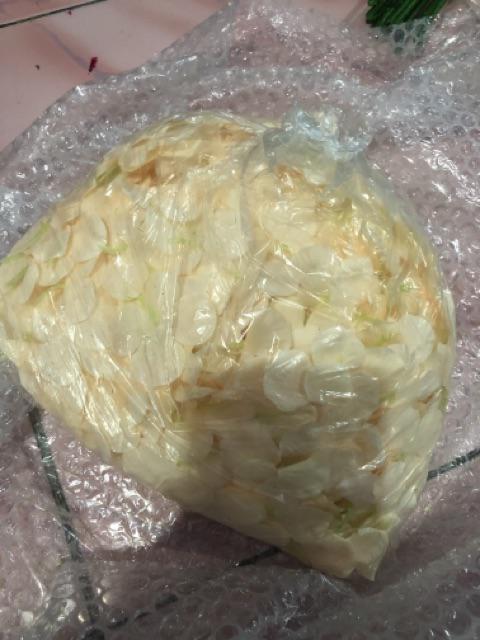 Wanflower Bunga Juntai Wisteria 2m * Champagne Muda