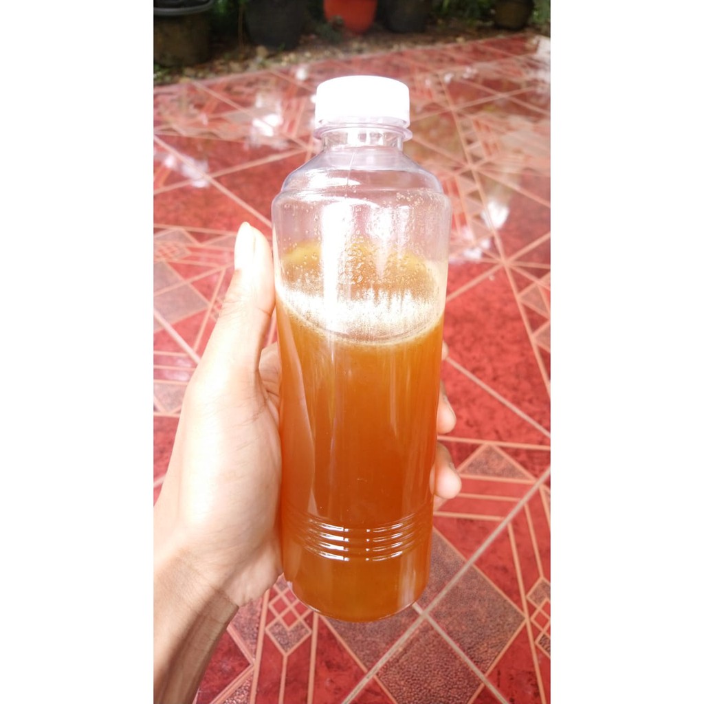 

Madu Hutan Sumatra