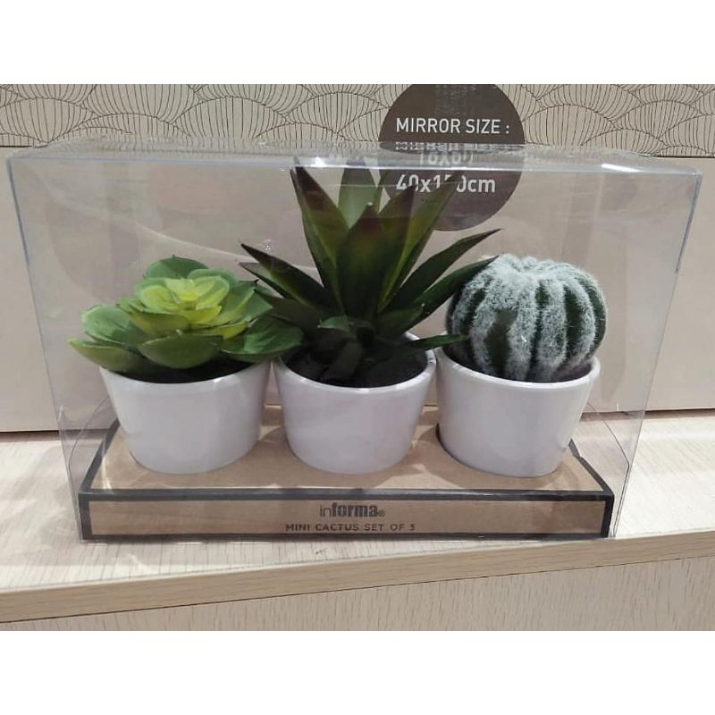 HOME DECORE-ARTIFICIAL SUCCULENT/TANAMAN KAKTUS PLASTIK INFORMA REAL PICTURE