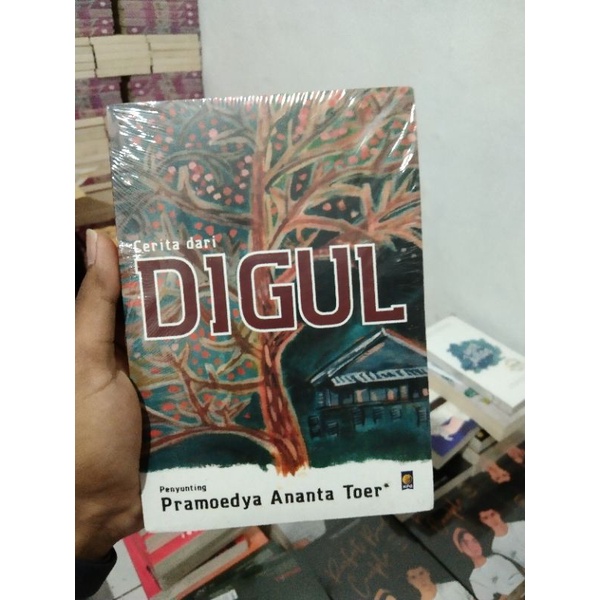 novel cerita si DIGUL_pramoedya