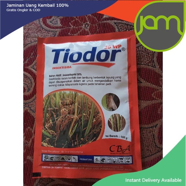 Insektisida TIODOR 30WP Imidakloprid 30%
