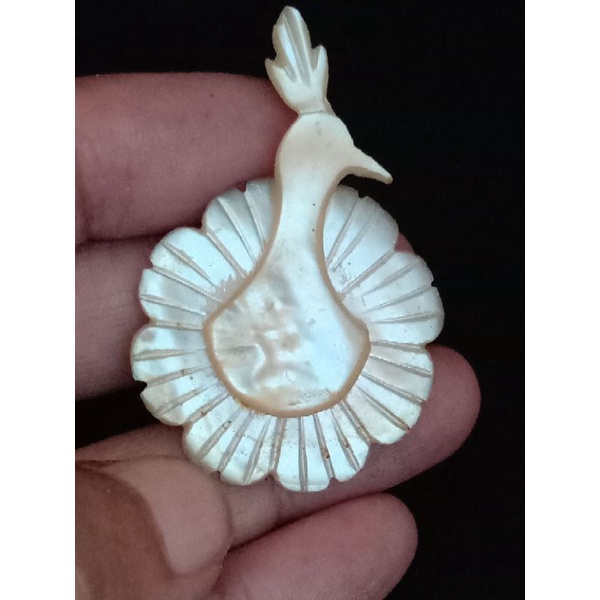 Brooch Cangkang Kerang Mutiara