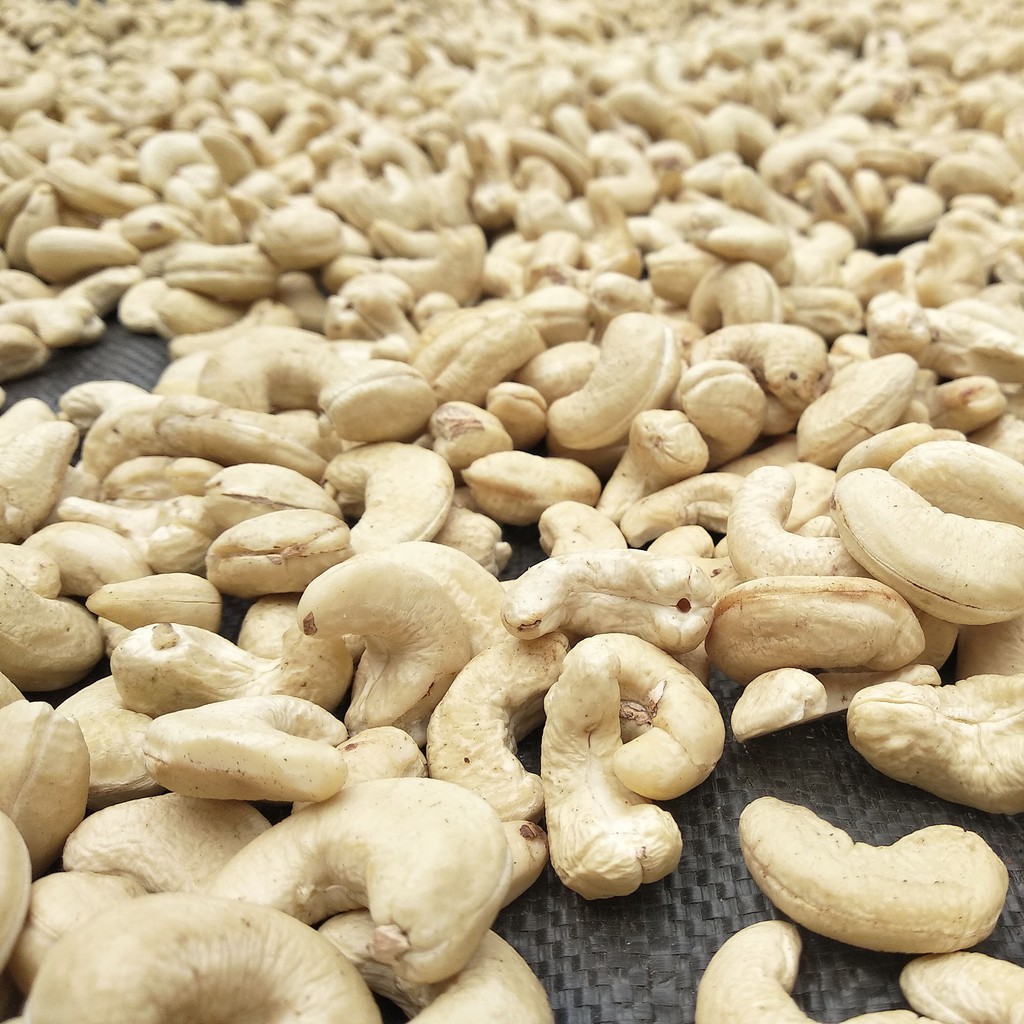 

KACANG MEDE 1KG | METE ASLI WONOGIRI