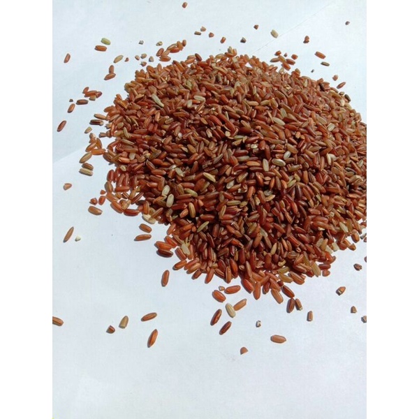 

BERAS MERAH SUPER HARGA MURAH DENGAN KUALITAS TERBAIK FREE ONGKIR