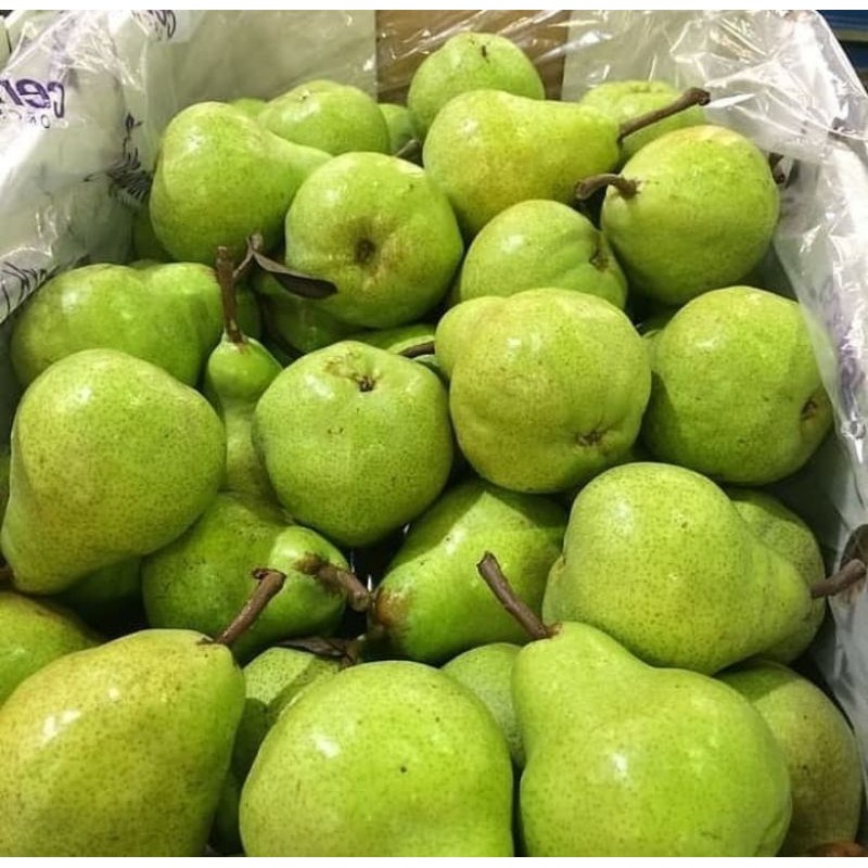 

pear packham import australia 1dus[10kg]