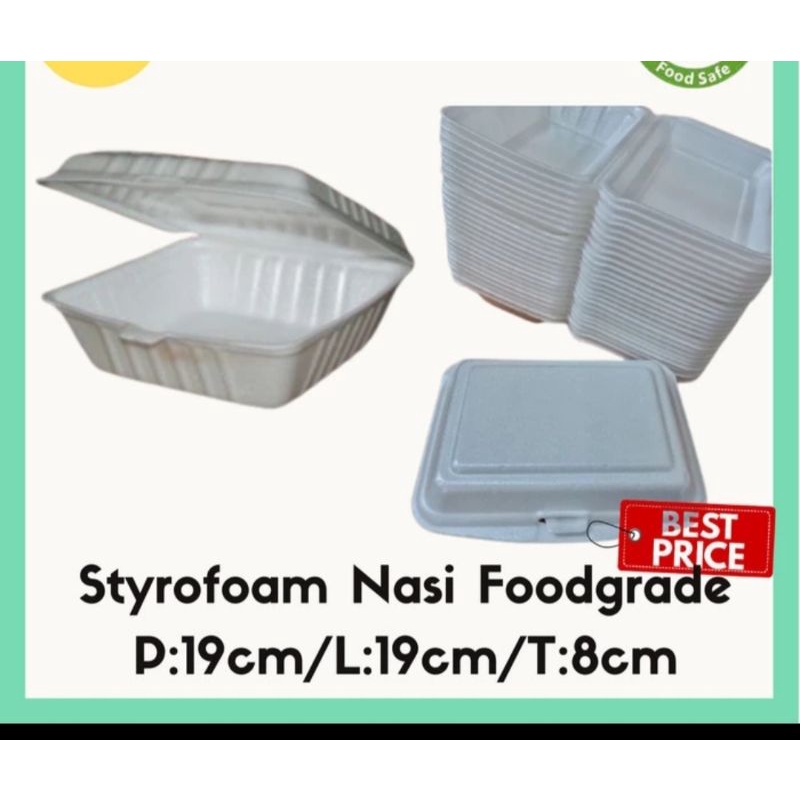 foam nasi isi 100 instan