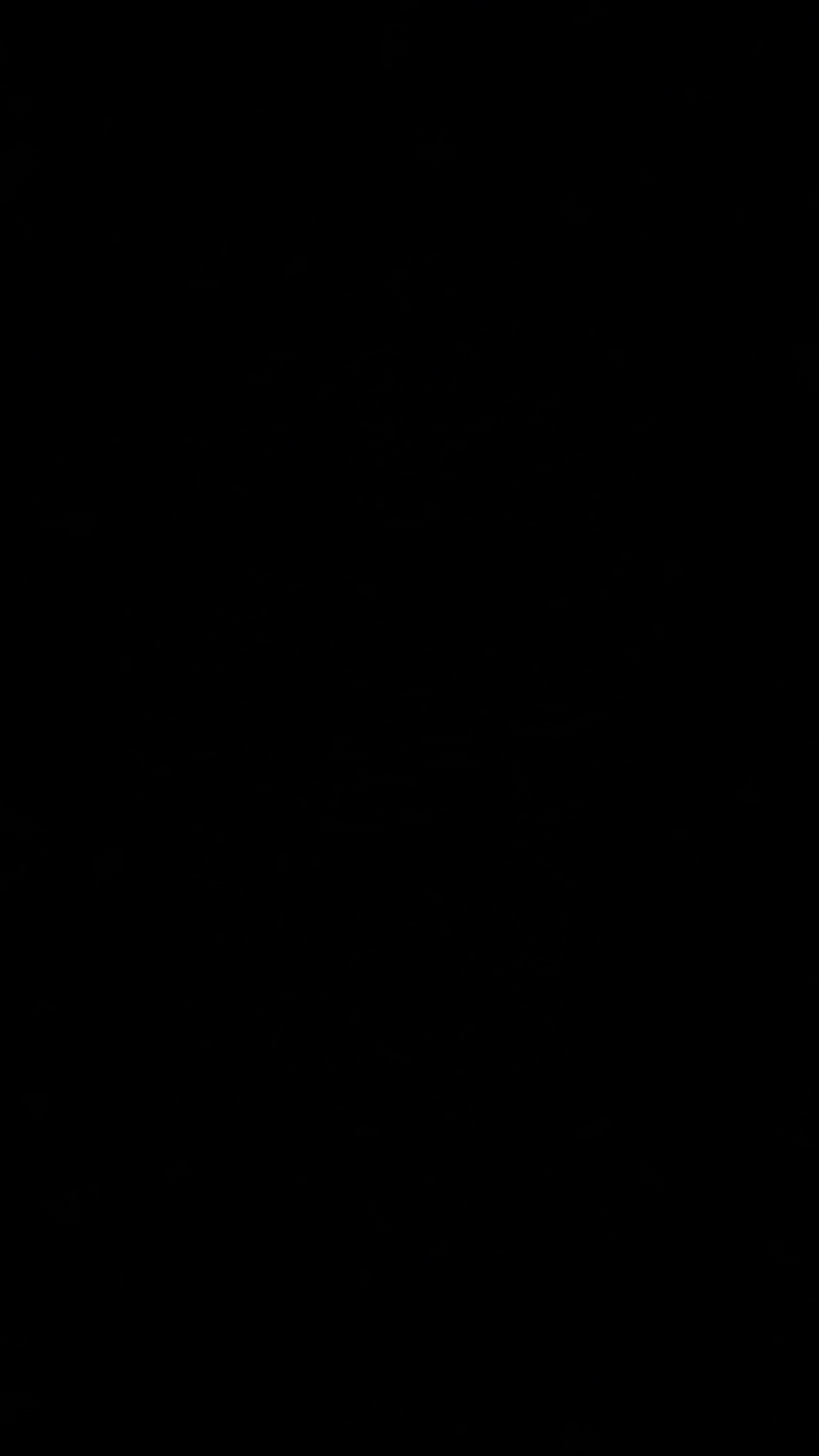 Maxim Venice Deluxe Version Set Wajan