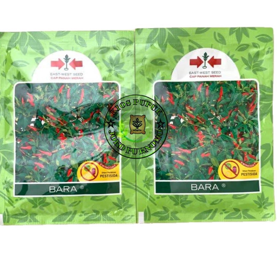 BENIH CABAI RAWIT PANAH MERAH BARA